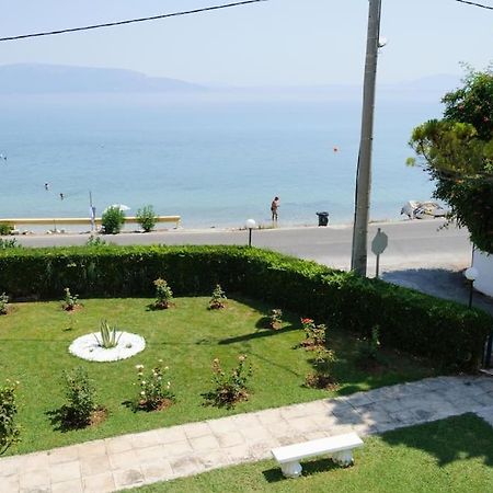 Beautiful Seaside Studio With Amazing View Athens Exterior photo